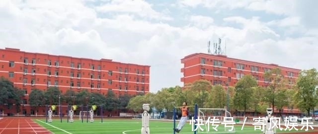 机器视觉|国内首发!高新这款人形智能机器人正式“上岗”