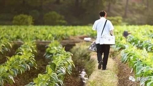 三味药，“烘干”寒痰！懒中医留下的小方子，撵走肺里白痰