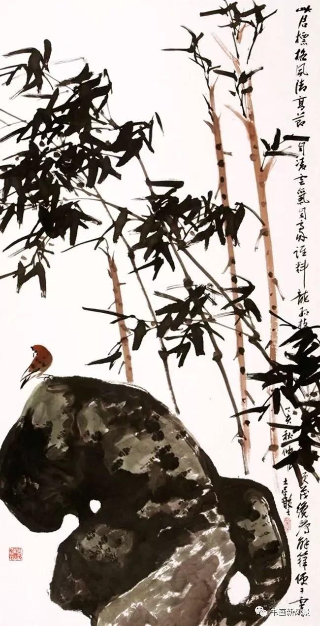  张辛稼|一鸟一虫一世界，真美！