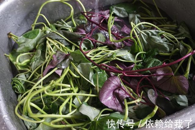 红薯芽苗|经常睡不好，眼睛干涩！春天要多吃“它”，让你一觉无梦睡天亮！