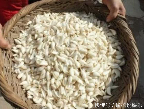 抗衰老|女人再节俭,也要常吃3种“零食”,天然“玻尿酸”,美容抗衰老