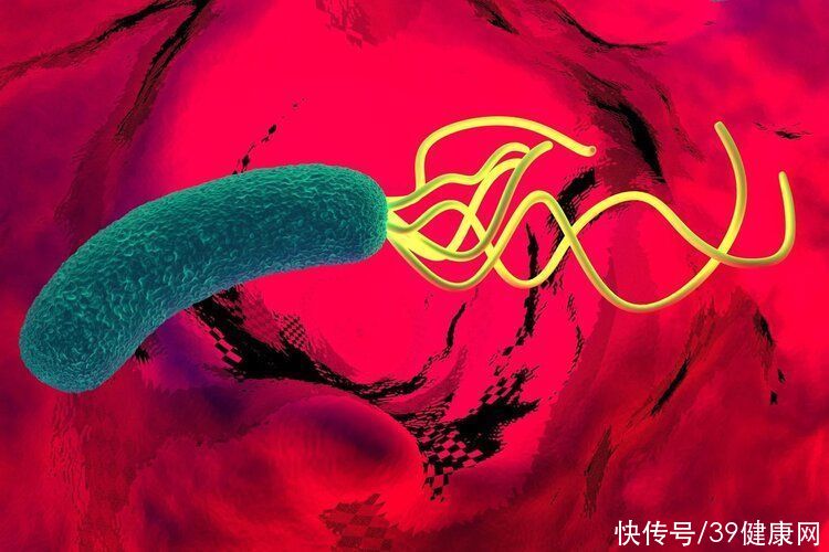 用药|感染7亿人的幽门螺杆菌,最怕大蒜和蜂蜜?2种用药才是根治方法