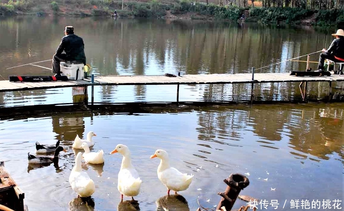 野钓打窝后，一直没有鱼口，是这几个方面的细节没有做好