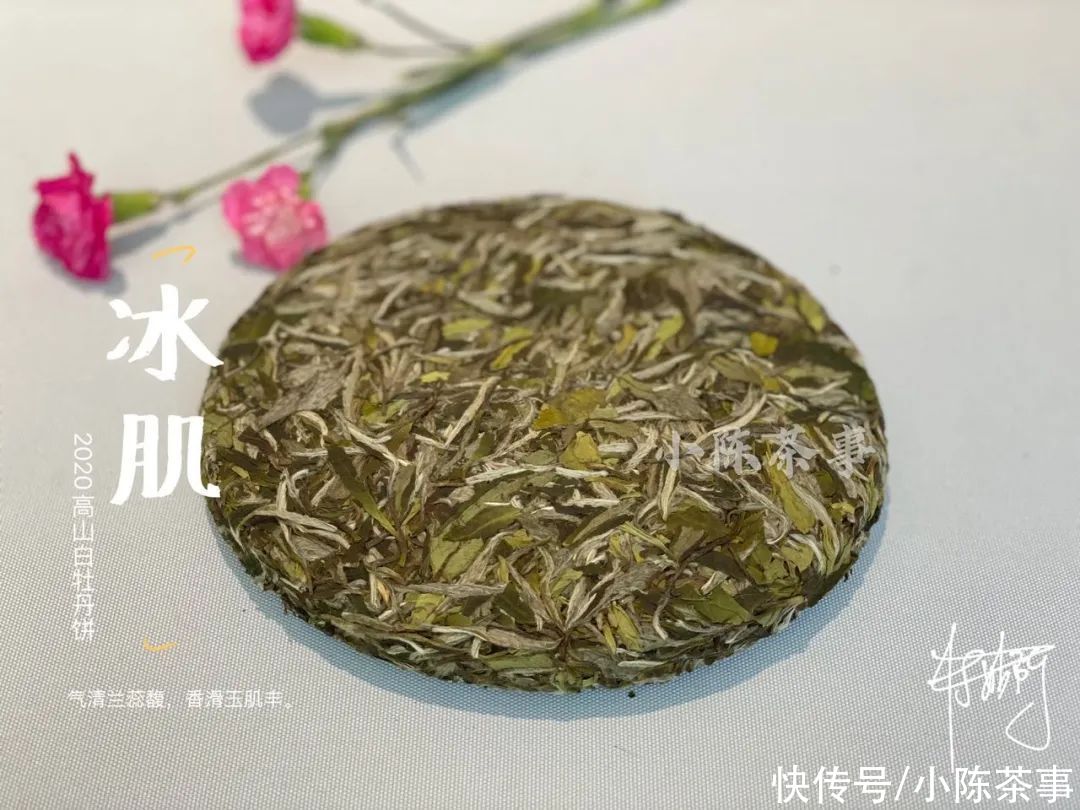 叶片|白牡丹和春寿眉散茶时还分得清，压饼后就混淆了？村姑陈教你3招