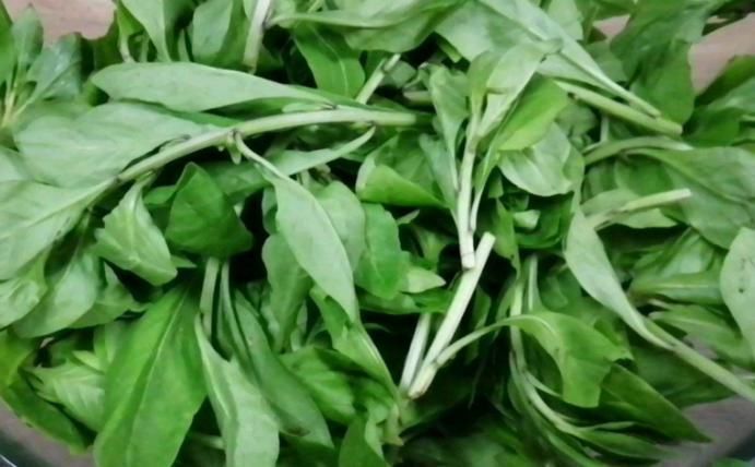 护肝菜|天然的“护肝菜”找到了,隔三差五吃一盘,排出毒素,更利于健康