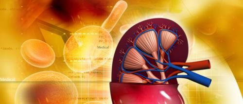 肾病|看尿量就能知道肾功能的好坏？教你“2招”防范尿毒症更有效
