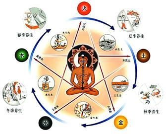 一日养生如四季,顺应阳气变化