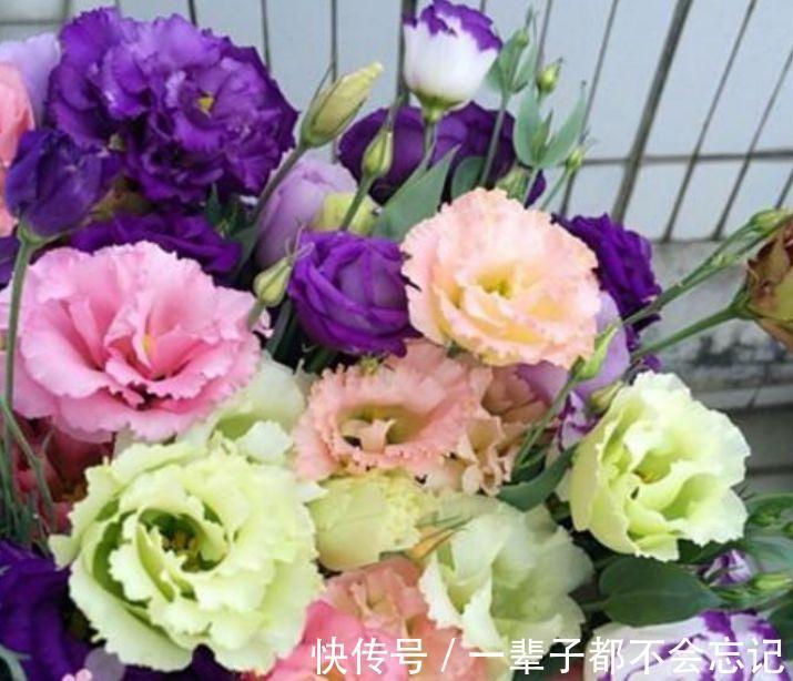 3种花适合新手养，不用费心，家里财运亨通，旺运一整年