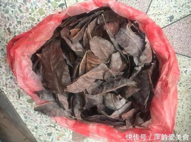 路边捡点它,开水一烫扔盆里,养花10年不烂根!