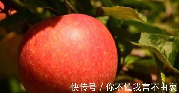 低糖|糖尿病不能吃水果医生提醒4种低糖水果放心吃,可以解解馋