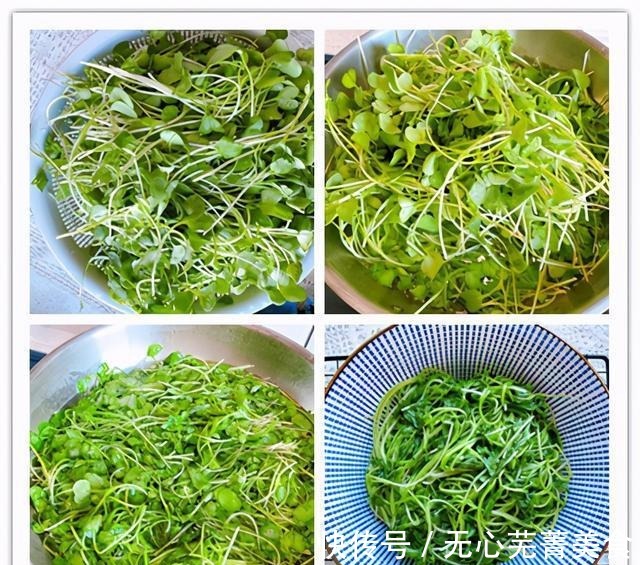 毛菜|秋天遇到这种蔬菜,再贵也要买,营养丰富,脆嫩爽口,去秋燥补钙!