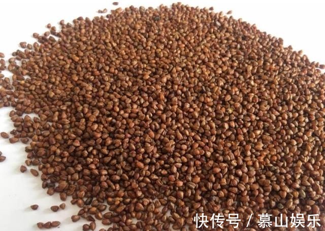 化瘀散结|天然“散结药”,女人每天吃几口,“甲状腺结节”或慢慢痊愈