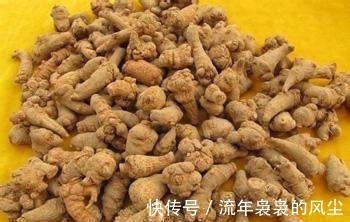 活血化瘀|哪些人不能吃三七?营养师:三七虽好,但2种人最好别接触