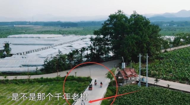 工作人员 节目组保护措施有多强?欧阳娜娜骑电车,看清多少人员护驾,懵了