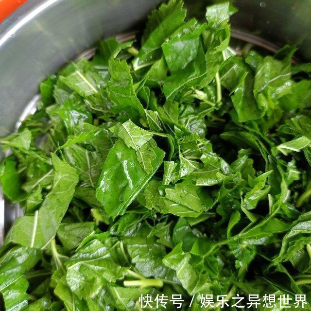 美食天下|蒸桑叶，清肺润燥、平肝明目