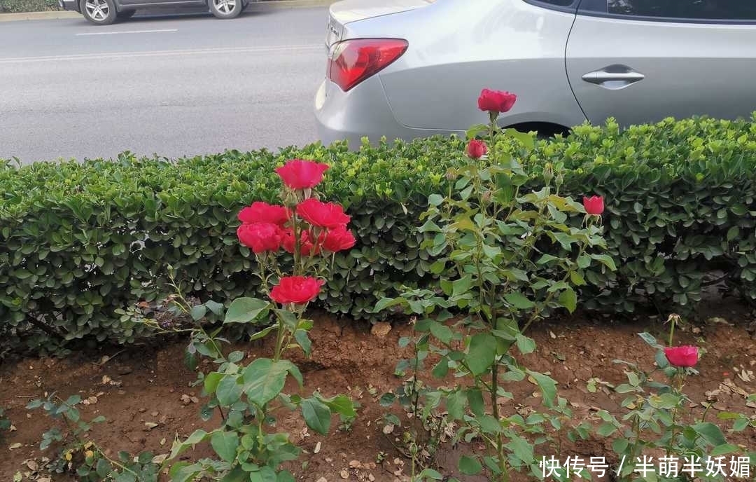 人大|曾国藩:勤俭培养廉洁风骨,正直使人大度,俭朴为立家之本