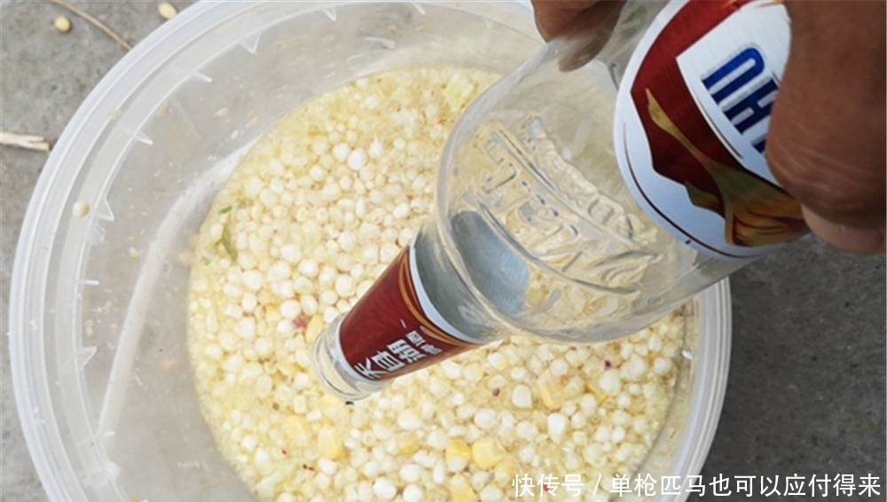 玉米粉|底层大鱼都喜欢“喝酒”,夏季钓大鱼,用这些酒香饵料,小鱼不沾