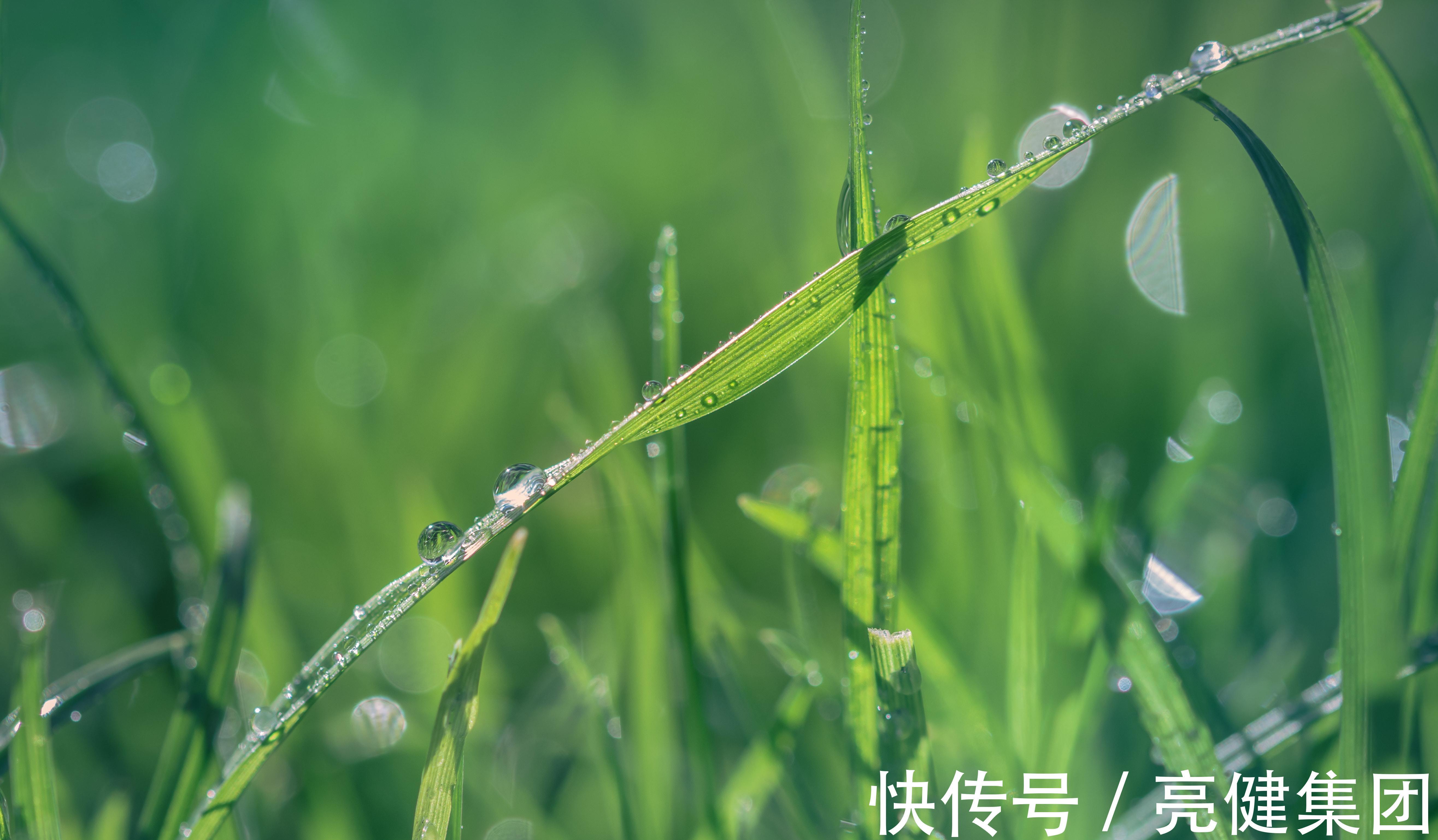 厚上薄|气温回升、万物新生,雨水过后的养生要点