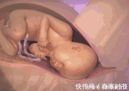 宝宝|生孩子到底有多痛?10张图告诉你:宝宝如何一步步来到这个世界