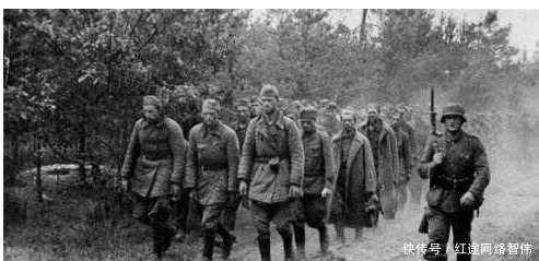 霍普金斯|当德军打到莫斯科的时候,谁最紧张?不是斯大林