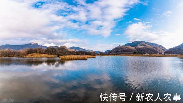 长达1.7米!湖北一男子河里野钓,收获巨型鳡鱼,网友:不能放生