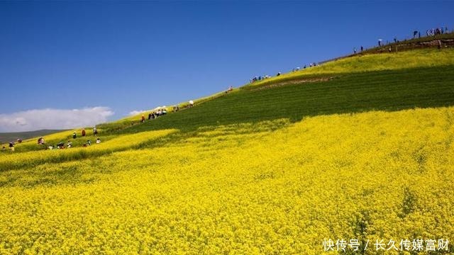 塔尔寺|推荐青海自驾游一定要去的十个地方攻略