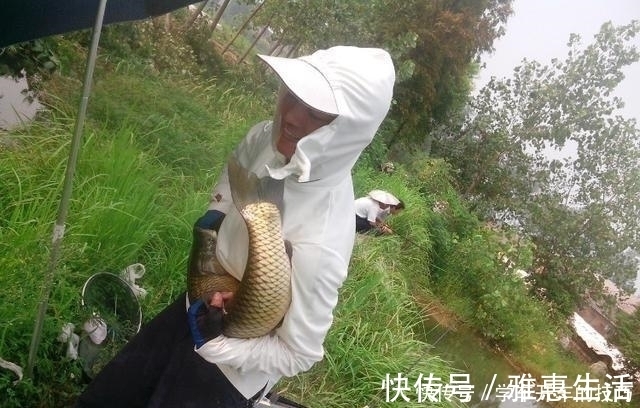 荒塘|某些钓鱼人,请你自觉点,这些不齿之事难登大雅之堂,别再丢脸了