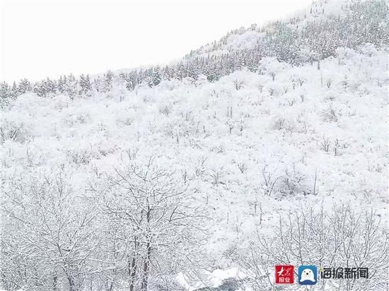 组图|组图｜淄博这场雪用实力说话 这些地方最美