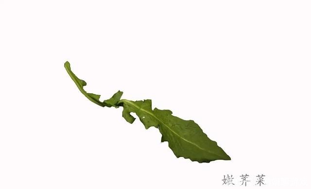 荠菜碧绿有诀窍,少了这一步,口感更清爽