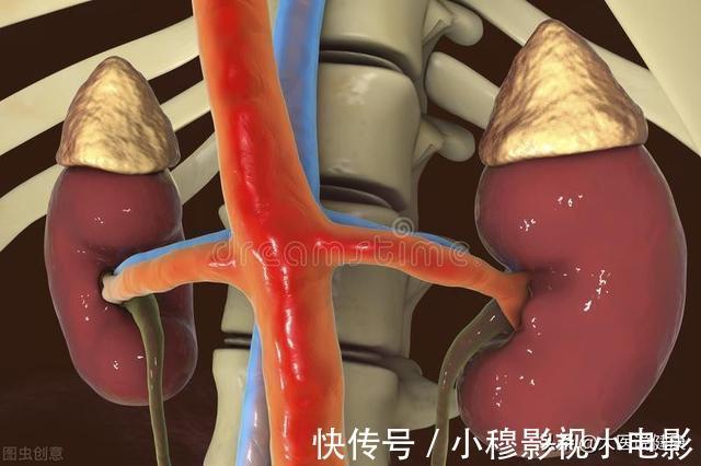 肾脏|高血压患者，查出肾衰竭！医生：早改掉2个坏习惯，肾脏会很好