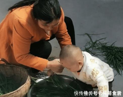 实力|“会干的不想干,不会干的抢着干”,萌娃实力帮倒忙,摘韭菜火了