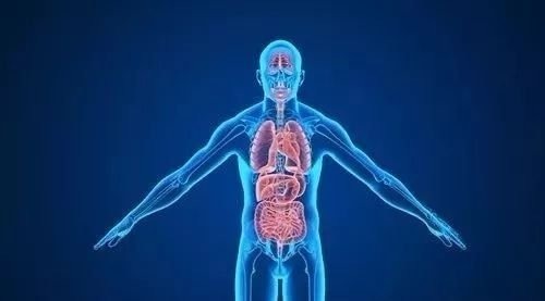 足部|人体自带养生密码!一病一绝招!五十九种病症穴位按摩!赶紧收藏