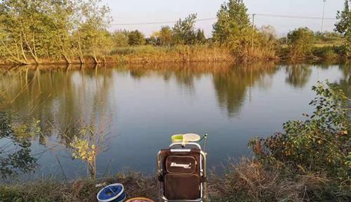 饵料|冬钓大板鲫“9字真经”,注意这些方式方法,冬钓鲫鱼不是难事!