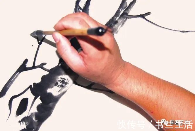 垂枝！图文教程：轻松学画写意木本花卉枝干