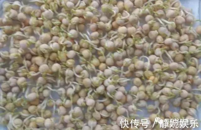 学会纸上种菜,在家就能做菜农,青菜不用买!