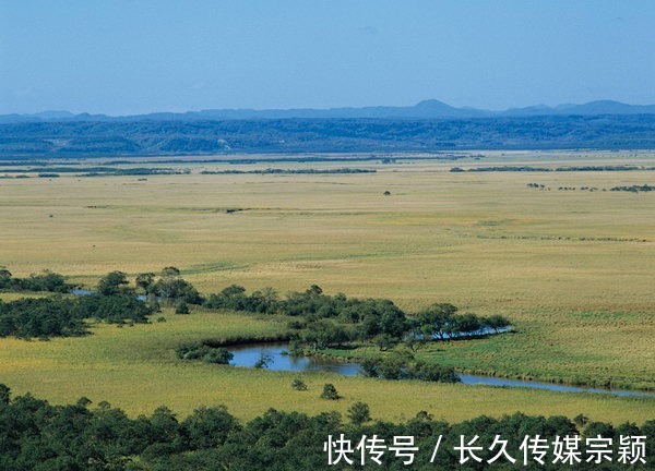 穴场|平原地区如何寻龙点穴？