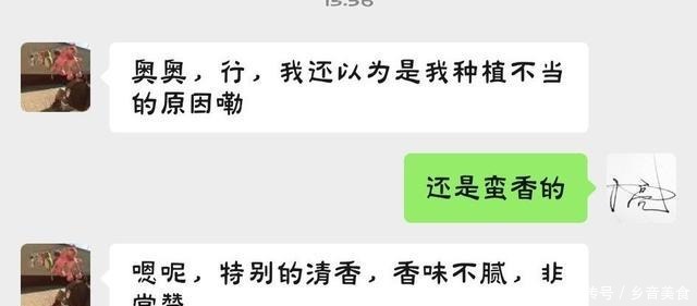 春兰不香教你一招,芳香满庭