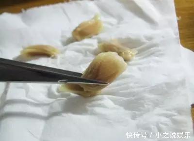 吃完这4种水果,我把籽扔花盆里,秒变小森林!