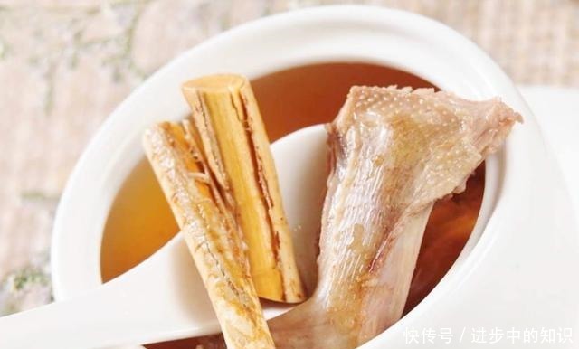 炖鸡汤时,加一根这种野生“树根”,越炖越香,还有浓浓的奶香味