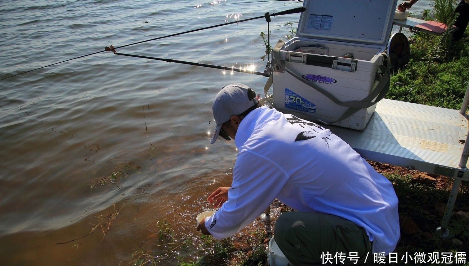 谬论|什么钓鱼最有效？氨基酸和维生素b钓鱼有用吗？详解钓鱼的误区