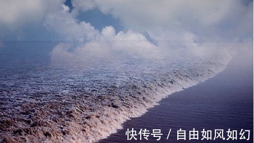 海日!满满全是憧憬和希望的10大诗篇,“江山代有才人出”仅列第六