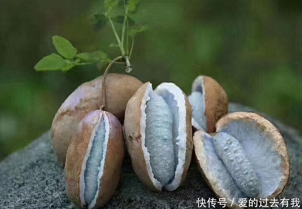 想要身体好,不妨多吃三种食物,排毒瘦身,有益健康