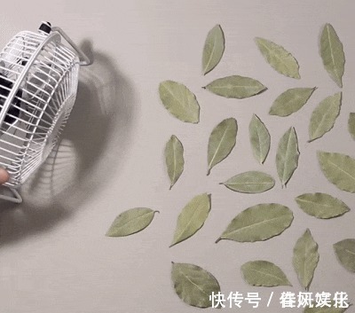 howardlee!一组非常逼真的3D画,让人真假分不清,你能找出哪一个是假的吗