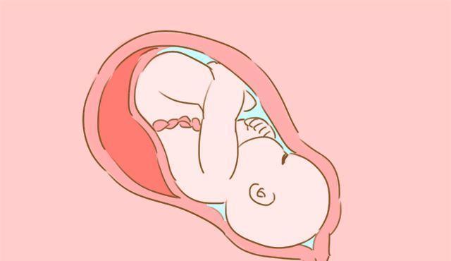 妈妈|临近预产期,胎宝宝都会在孕妈妈肚子里忙活这件事,你有感觉吗