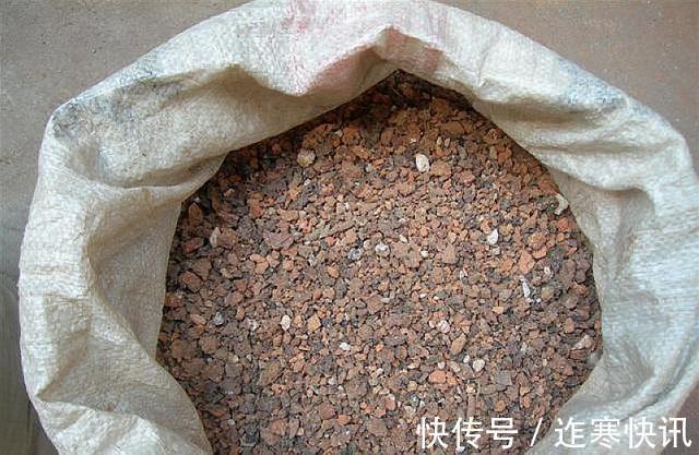 养花旧土别扔,“3样”东西加一点,土质肥沃,养花特旺,开花多