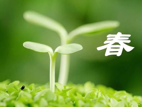 春天，养生好时节，做到“一防、二清、三养”，为健康打牢基础