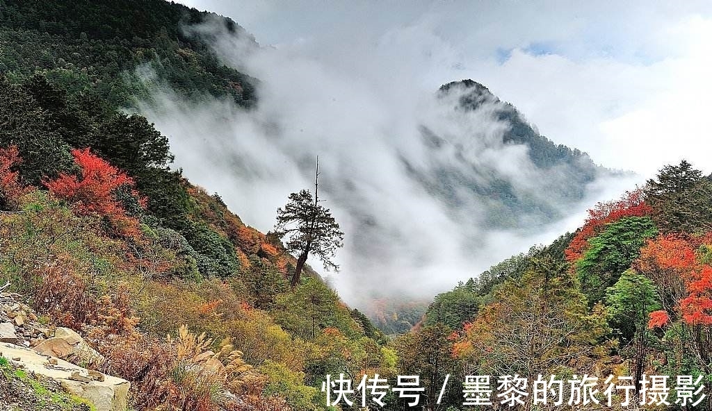孟浩然!与山有关的10大名诗排行榜,李白《独坐敬亭山》仅第四,前三呢?