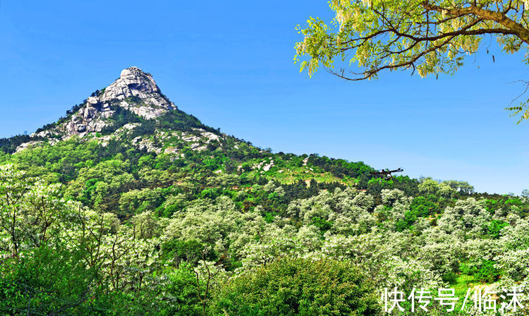 情定三生|美丽的苍马山