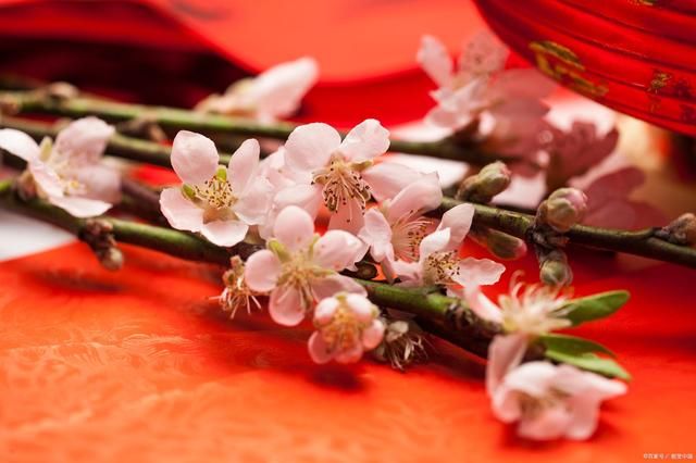 青卿&桃花诗词52首:红粉一枝占尽春，花苞花蕊缀芳心