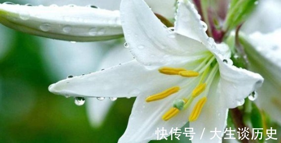 桂圆|失眠最怕以下几种食物，每天吃一点，一夜睡到天亮